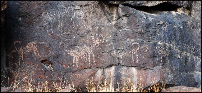 A panel of bighorn sheep