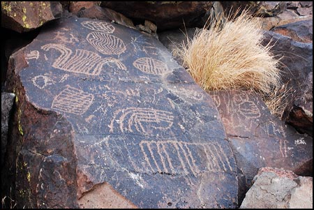 Petroglyph panel