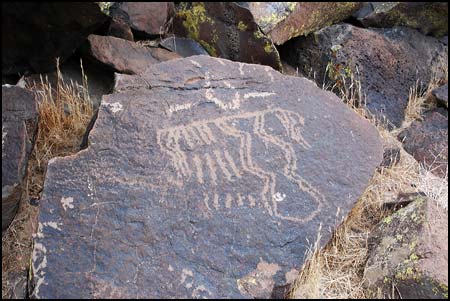 Another petroglyph at Coyote Gulch