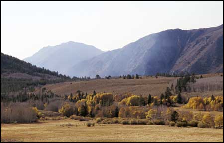 Dunderberg Meadow