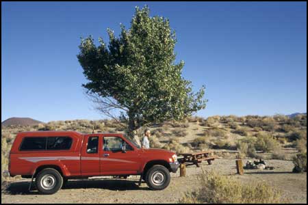 Goodale Creek Campground