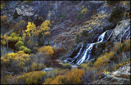 Lundy Canyon